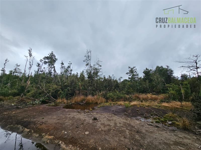 Parcela en venta en Puerto Varas — foto 4