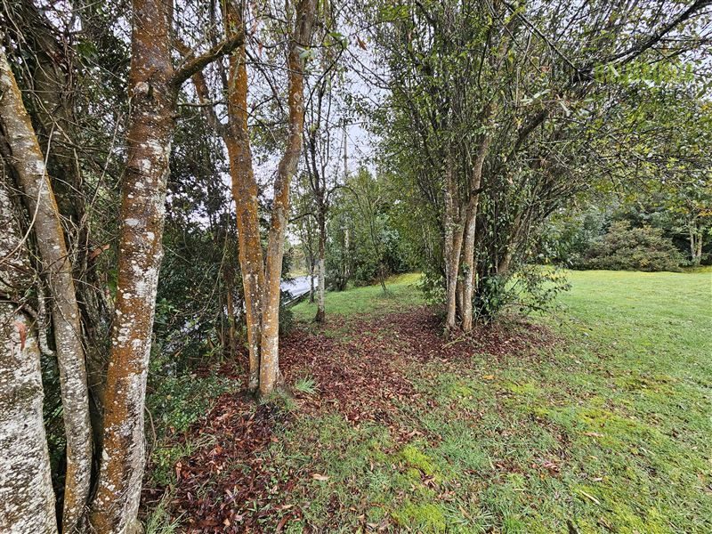 Parcela en venta en Puerto Varas — foto 5