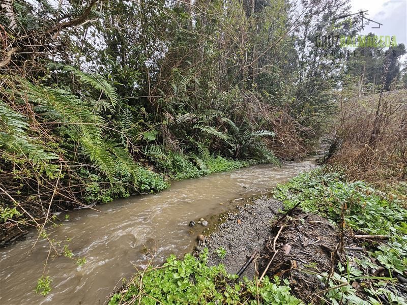 Parcela en venta en Puerto Varas — foto 7