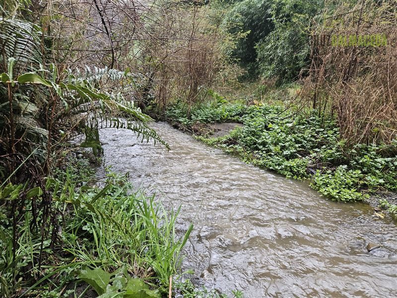 Parcela en venta en Puerto Varas — foto 8