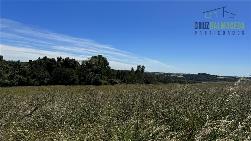 Parcela en venta en Puerto Varas — foto 4