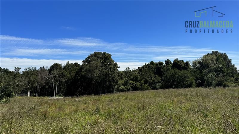 Parcela en venta en Puerto Varas — foto 6