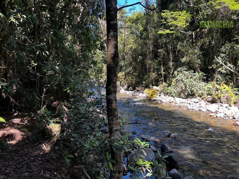 Parcela en venta en Puerto Varas — foto 3