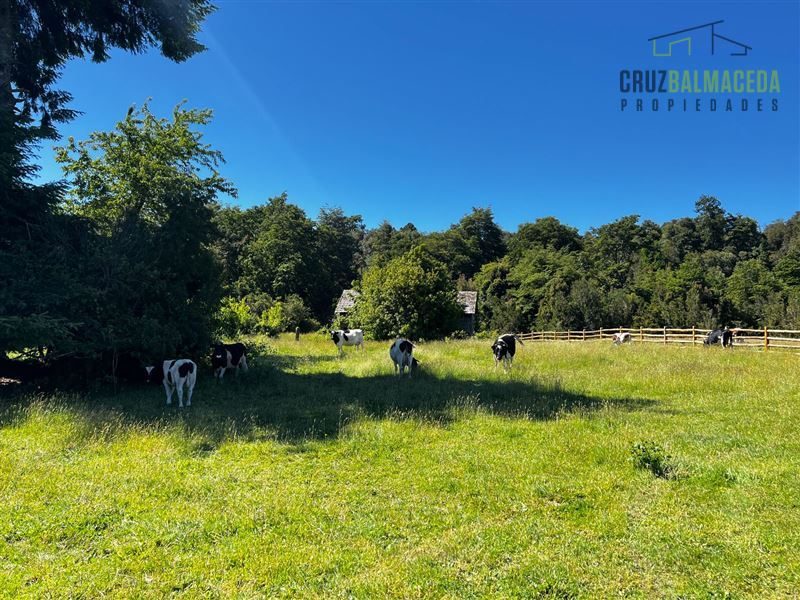 Parcela en venta en Puerto Varas — foto 5