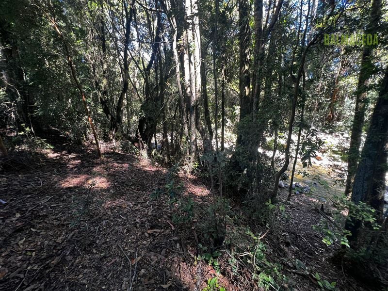 Parcela en venta en Puerto Varas — foto 10
