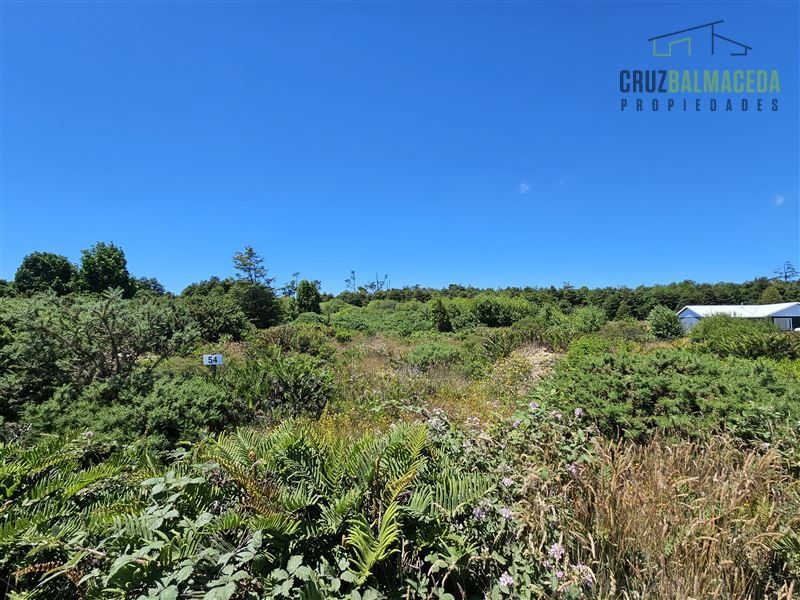 Parcela en venta en Puerto Varas — foto 3
