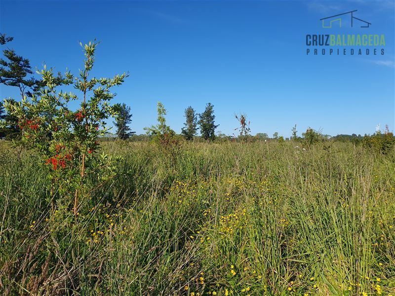 Parcela en venta en Frutillar — foto 6