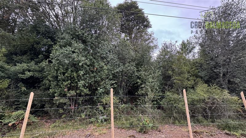 Parcela en venta en Puerto Varas — foto 3