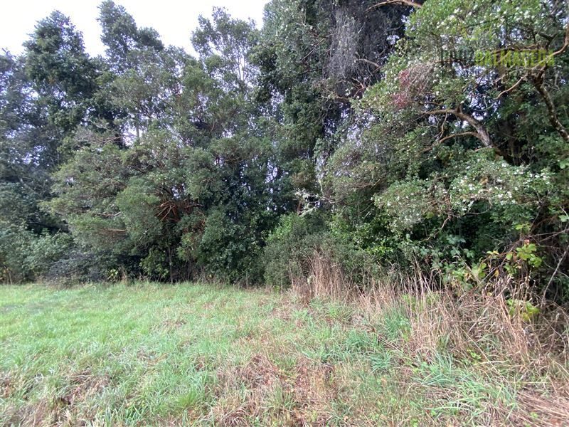 Parcela en venta en Puerto Varas — foto 4