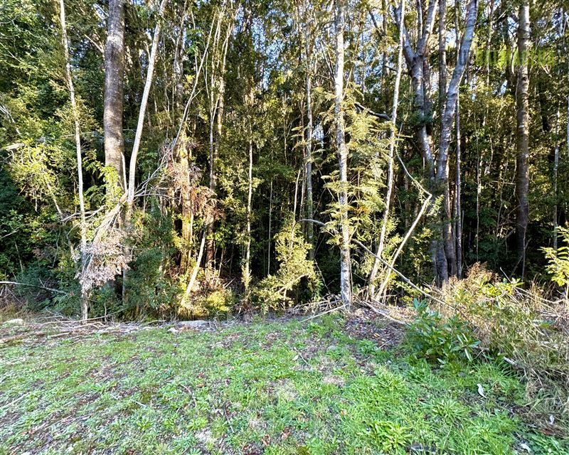 Parcela en venta en Puerto Varas — foto 4