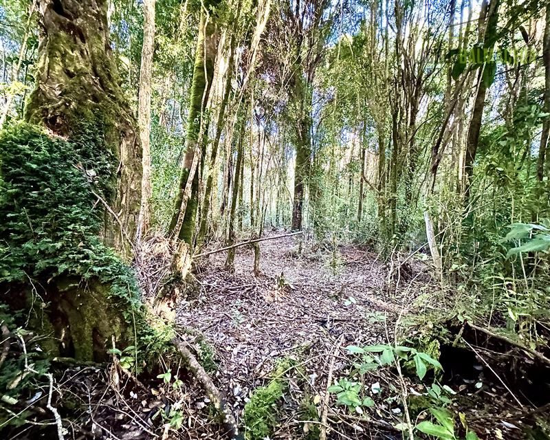 Parcela en venta en Puerto Varas — foto 7