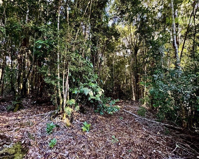 Parcela en venta en Puerto Varas — foto 10