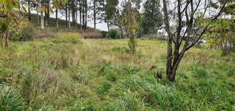 Casa en venta en Llanquihue — foto 7