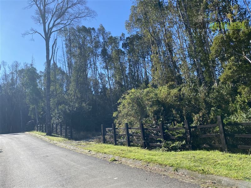Parcela en venta en Puerto Varas — foto 2
