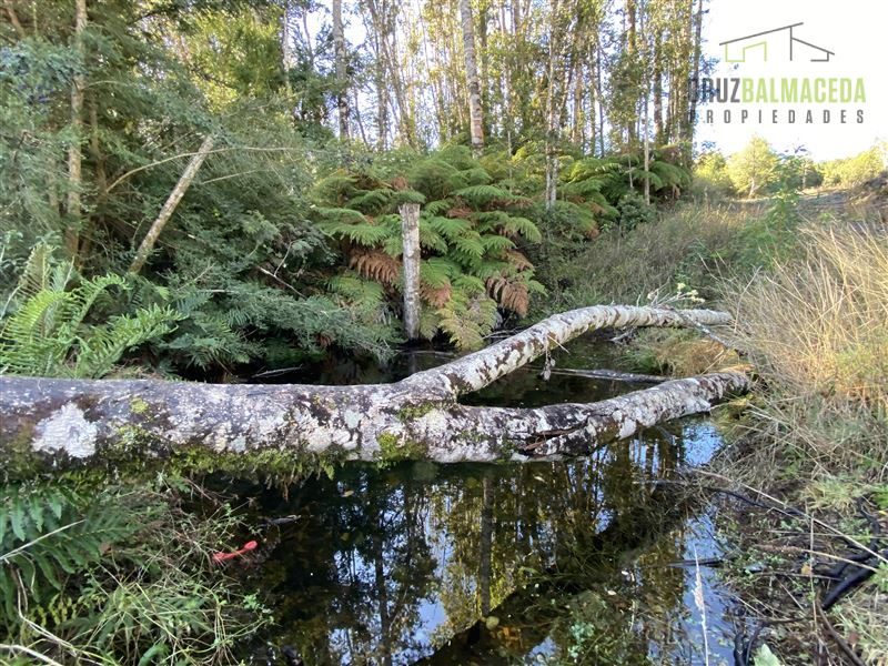 Parcela en venta en Puerto Varas — foto 5