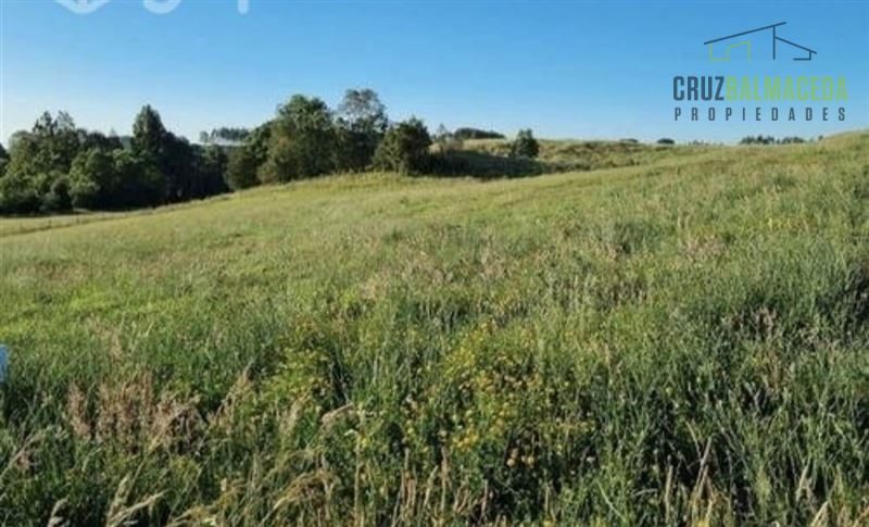Parcela en venta en Frutillar — foto 7