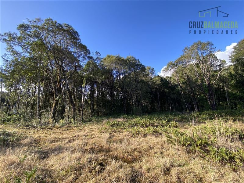 Parcela en venta en Puerto Varas — foto 2
