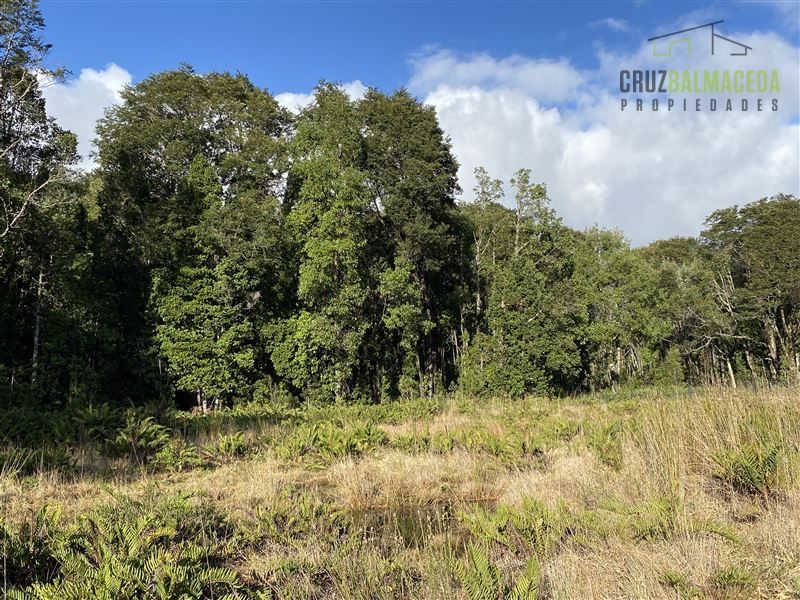 Parcela en venta en Puerto Varas — foto 3