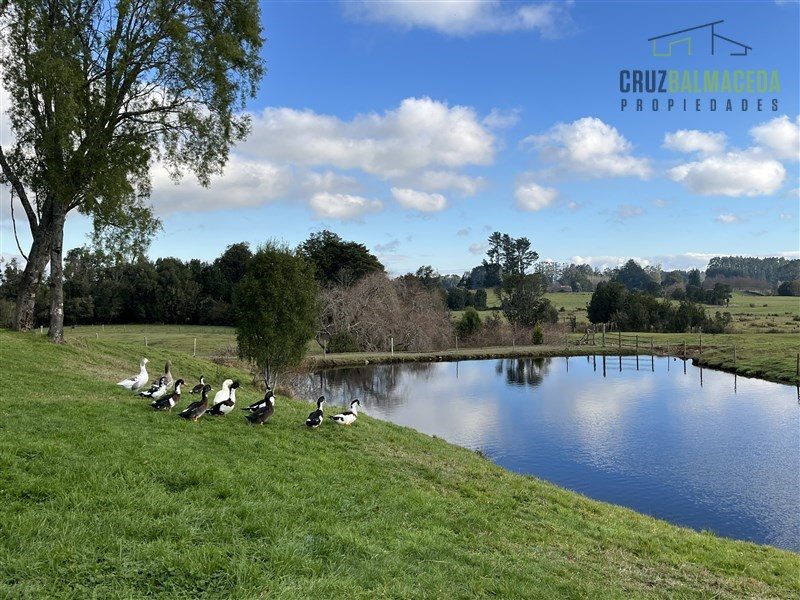 Parcela en venta en Puerto Varas — foto 10