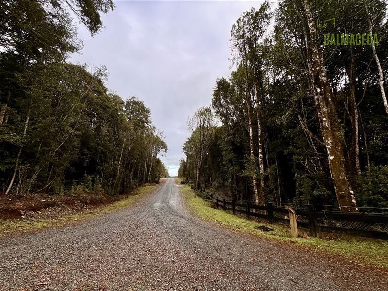 Parcela en venta en Puerto Varas — foto 1