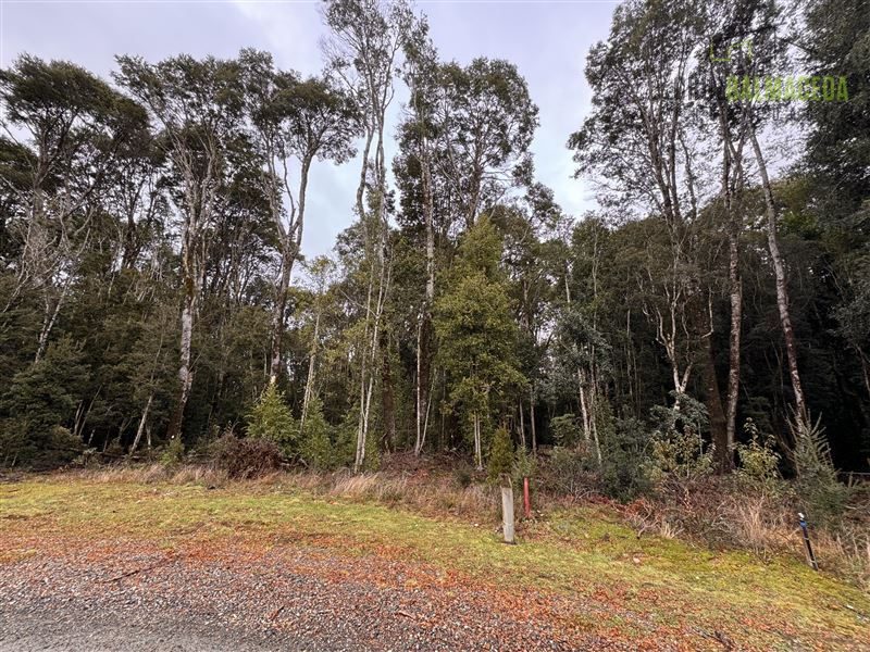 Parcela en venta en Puerto Varas — foto 3