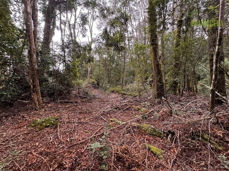 Parcela en venta en Puerto Varas — foto 4