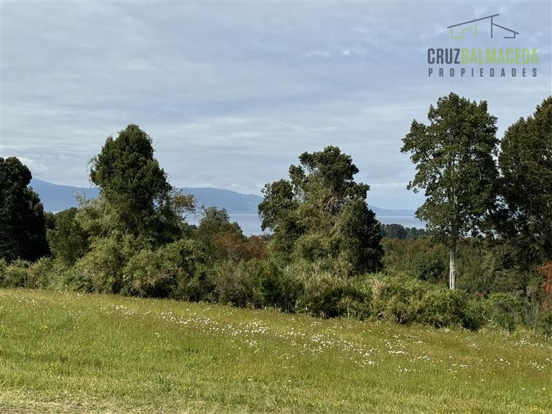 Parcela en venta en Puerto Octay — foto 10