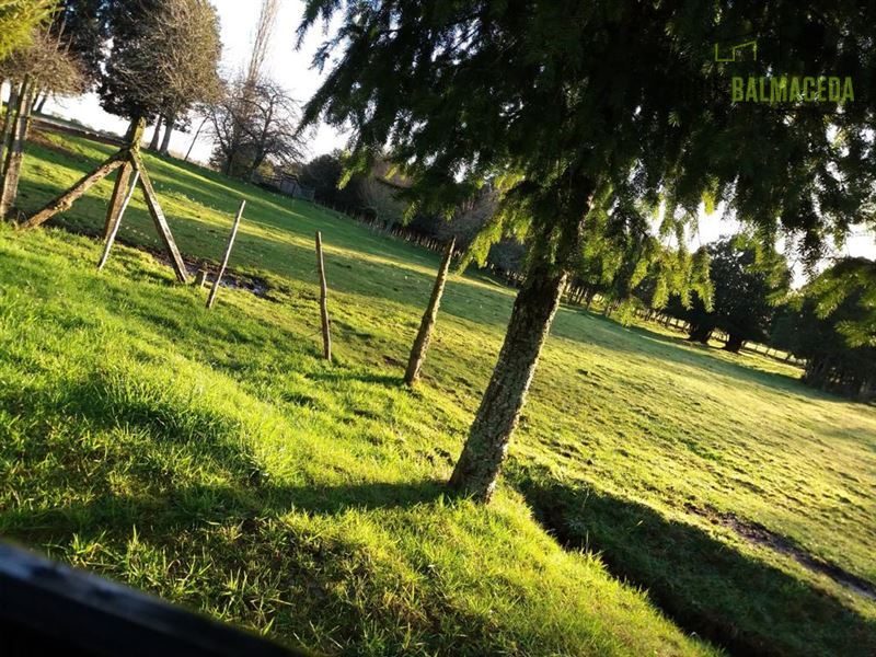 Parcela en venta en Puerto Montt — foto 3