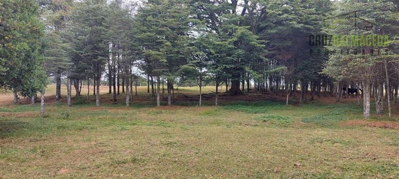 Parcela en venta en Puerto Montt — foto 6