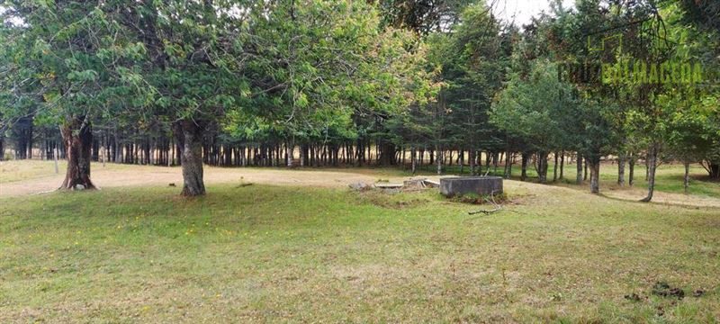 Parcela en venta en Puerto Montt — foto 10