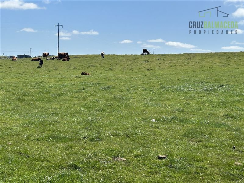 Terreno en venta en Puerto Varas — foto 2