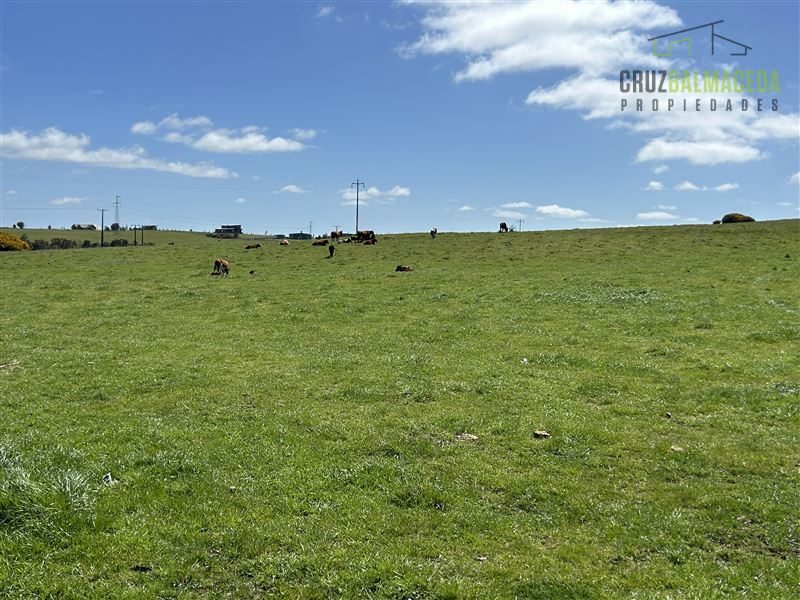 Terreno en venta en Puerto Varas — foto 4