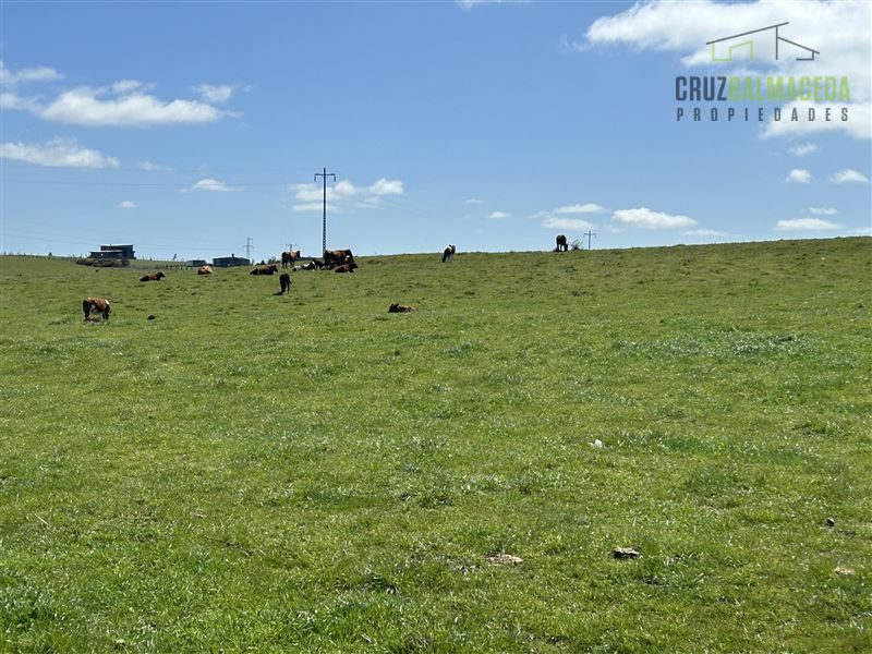 Terreno en venta en Puerto Varas — foto 6