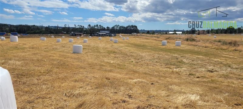 Parcela en venta en Llanquihue — foto 4