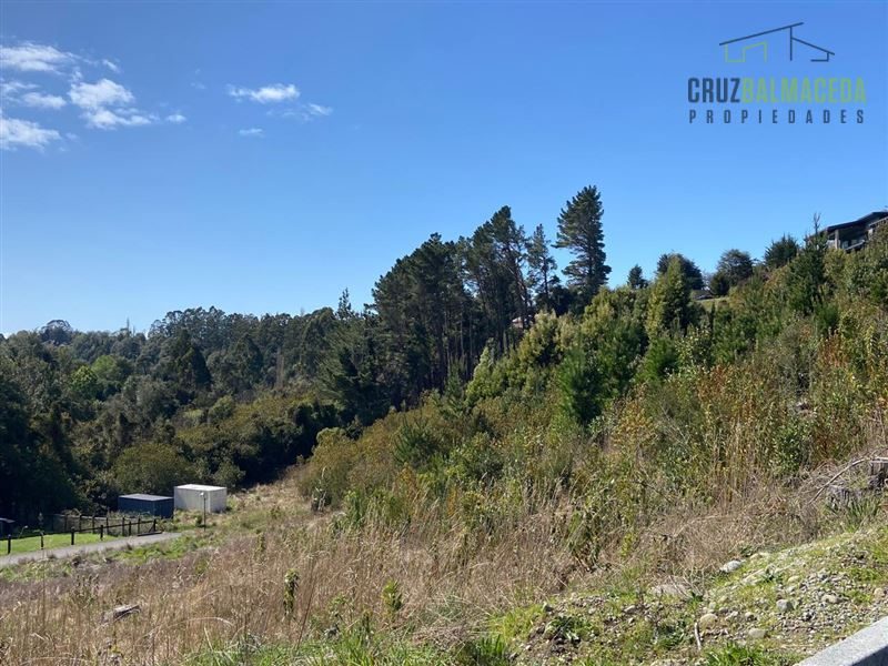 Parcela en venta en Puerto Varas — foto 2