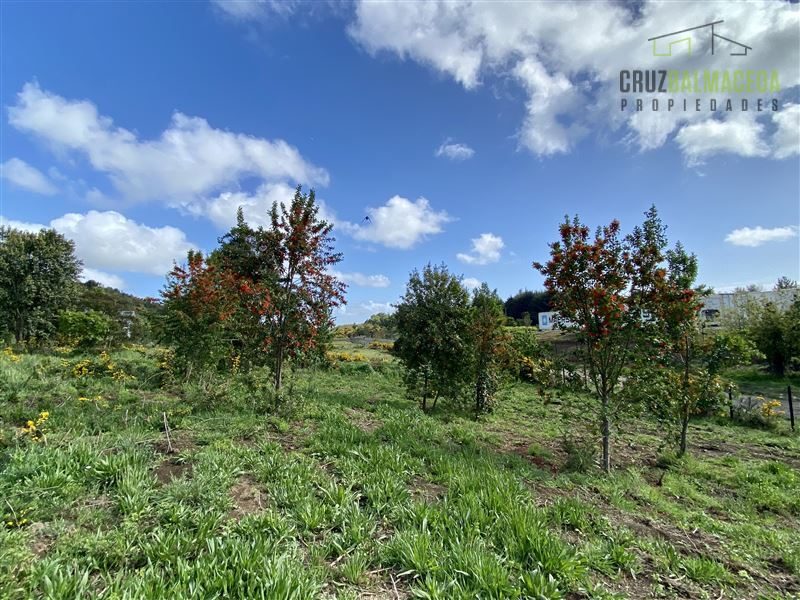Parcela en venta en Puerto Varas — foto 7