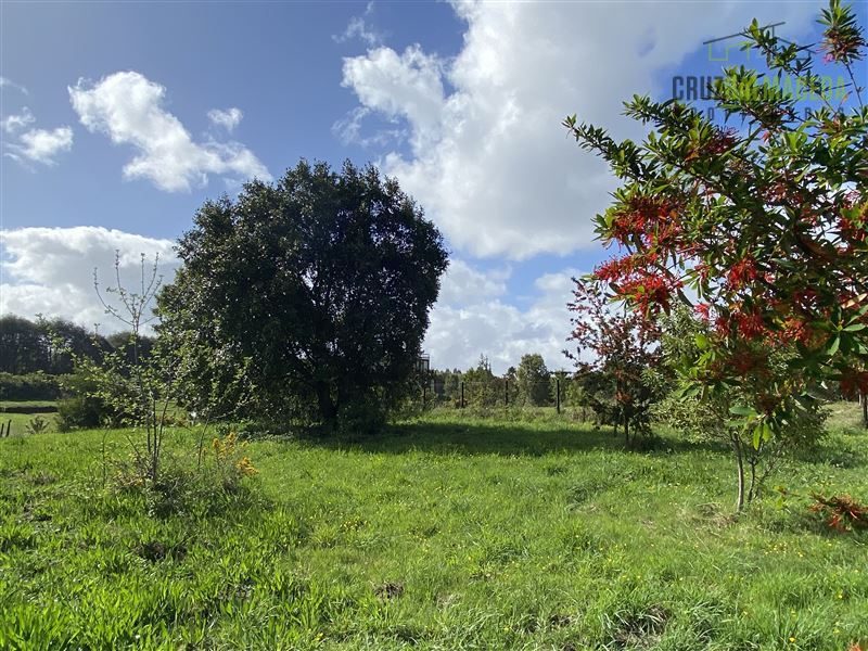 Parcela en venta en Puerto Varas — foto 10