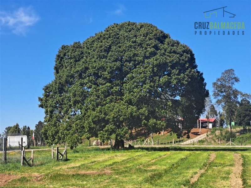 Parcela en venta en Llanquihue — foto 8