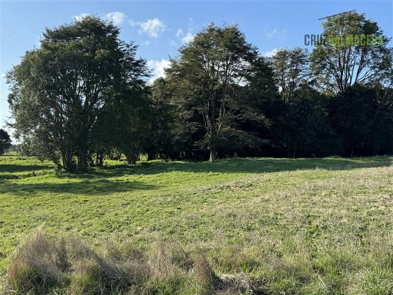 Parcela en venta en Puerto Varas — foto 6