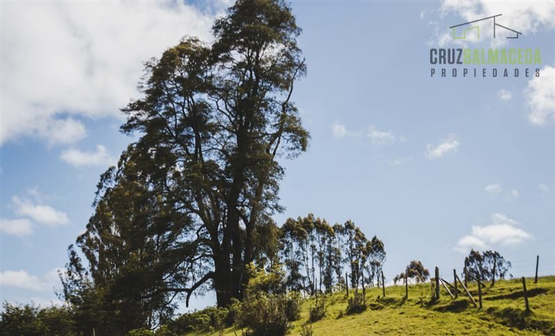 Parcela en venta en Llanquihue — foto 3
