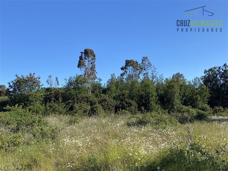 Parcela en venta en Puerto Varas — foto 4