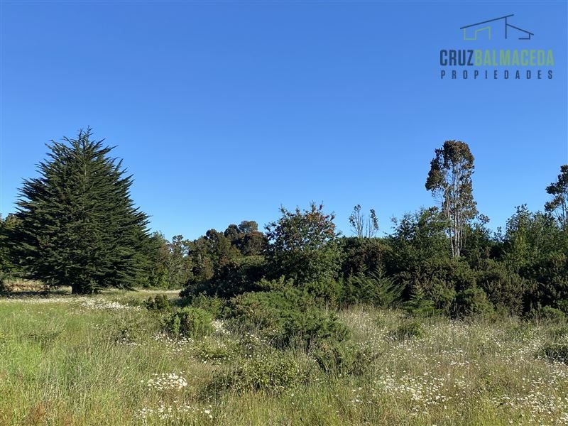 Parcela en venta en Puerto Varas — foto 7