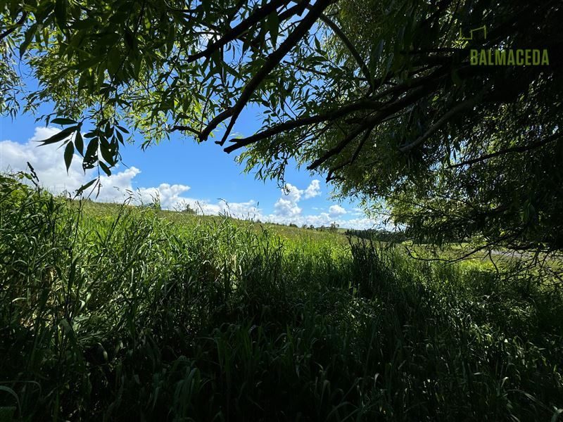 Parcela en venta en Puerto Varas — foto 6