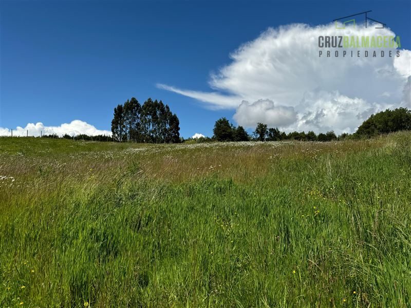 Parcela en venta en Puerto Varas — foto 7
