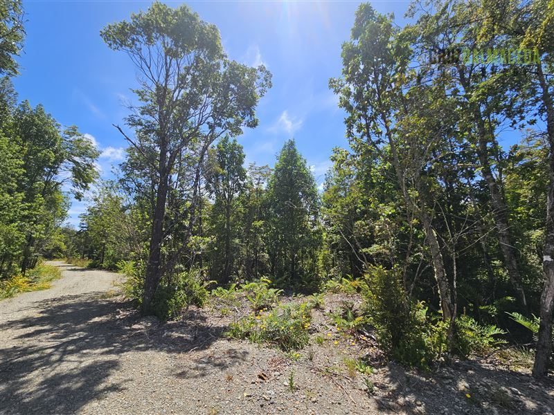 Parcela en venta en Puerto Varas — foto 1