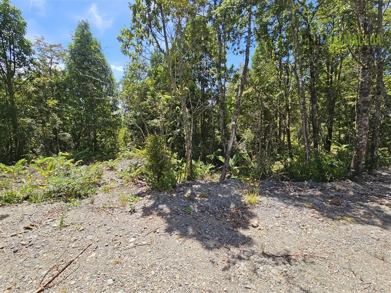 Parcela en venta en Puerto Varas — foto 3
