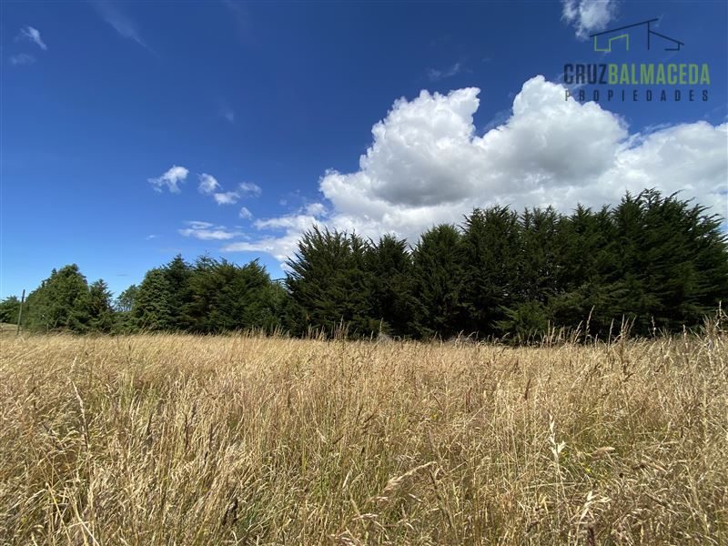 Parcela en venta en Puerto Varas — foto 10