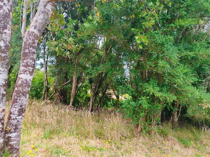 Parcela en venta en Puerto Varas — foto 6