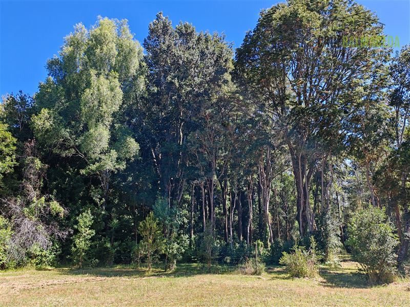 Parcela en venta en Puerto Varas — foto 7