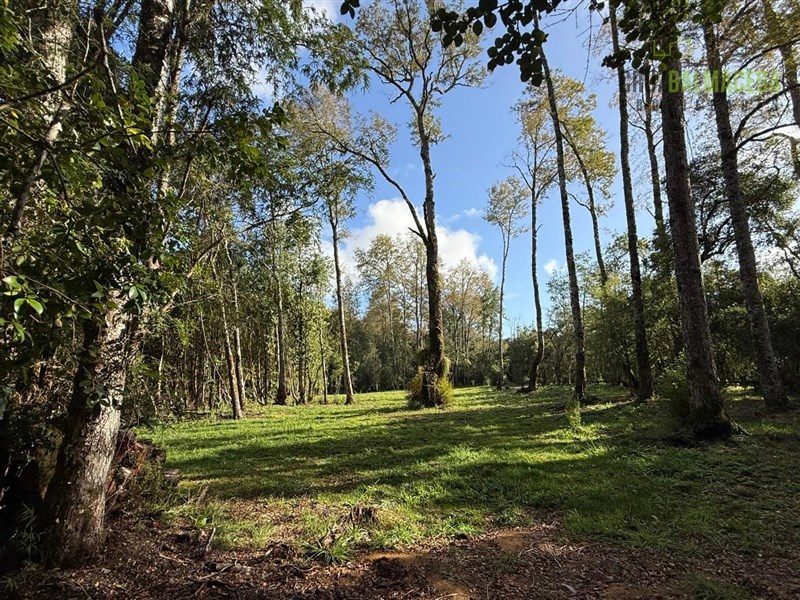 Parcela en venta en Panguipulli — foto 2